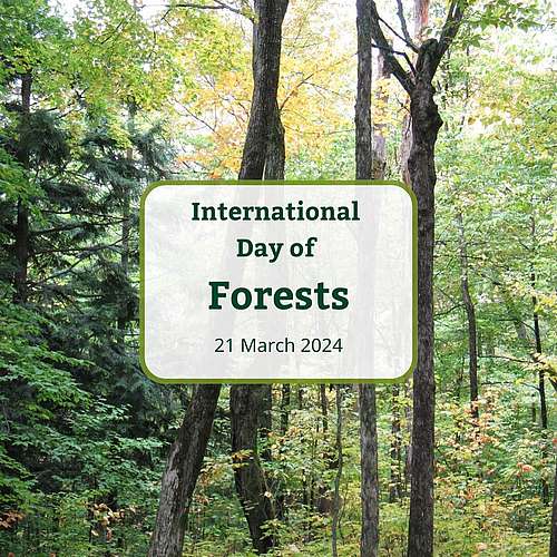 Healthy forests = important ecological, economic,...