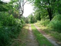 Trapps - The Haul Road