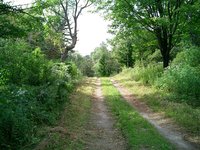 Trapps - The Haul Road