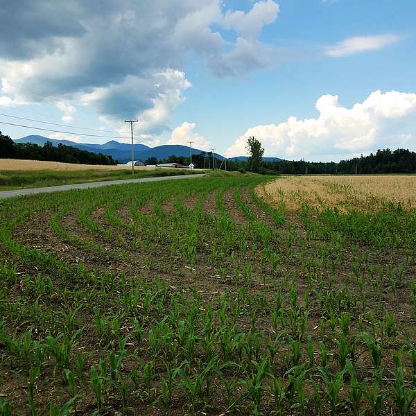 Valcour Farm Conserved in Morristown