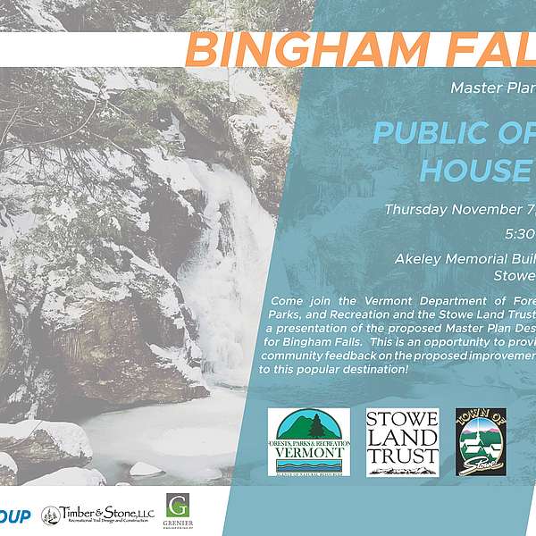 Bingham Falls Master Plan - Public Input Needed!
