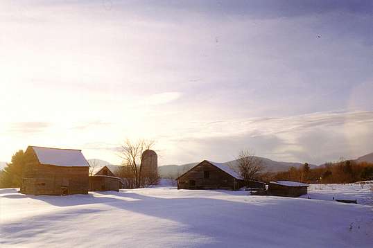 Photo by M. Sweatman