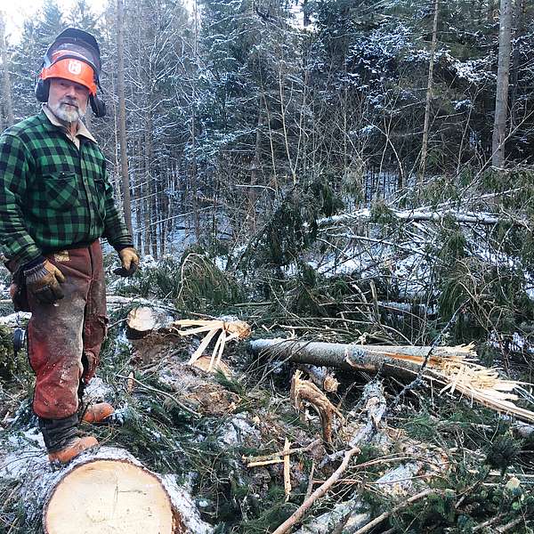Logging Clears the Way for Trails at Cady Hill