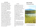 Joes Pond Brochure