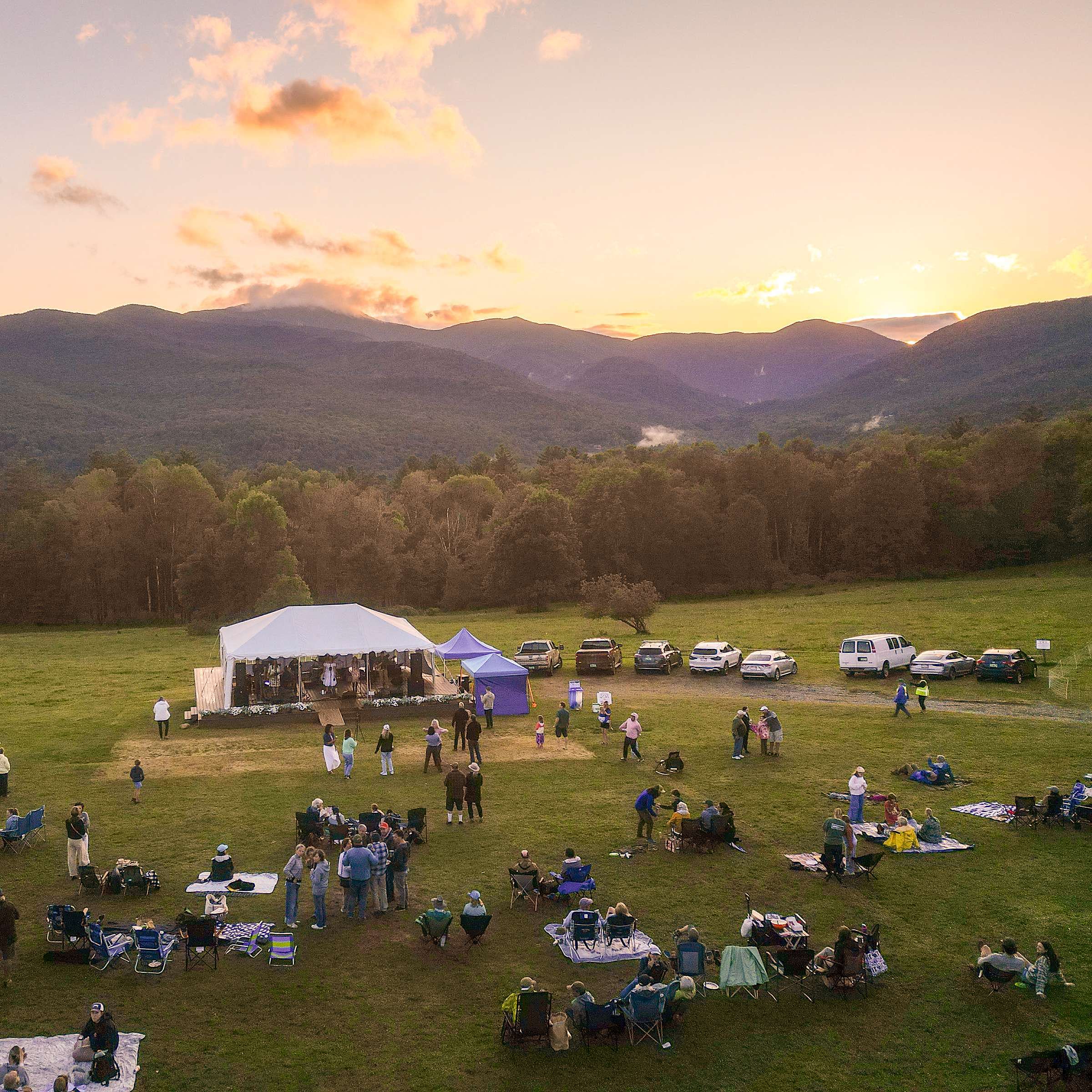 Annual Party in the Meadow - Indoor / Outdoor Ticket