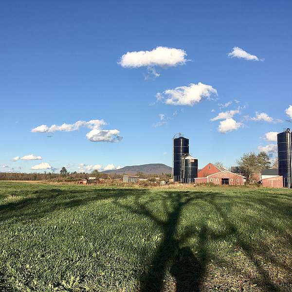 Facing Uncertain Future, Ricketson Farm Chooses Conservation