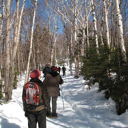 Link to recreation and public access properties