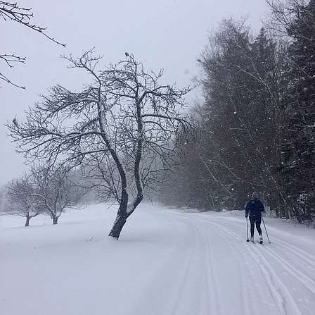 Link to properties open for Nordic skiing