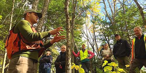 How to Love a Forest with Ethan Tapper