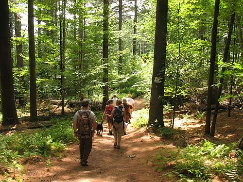 Land Explorations @ Wiessner Woods
