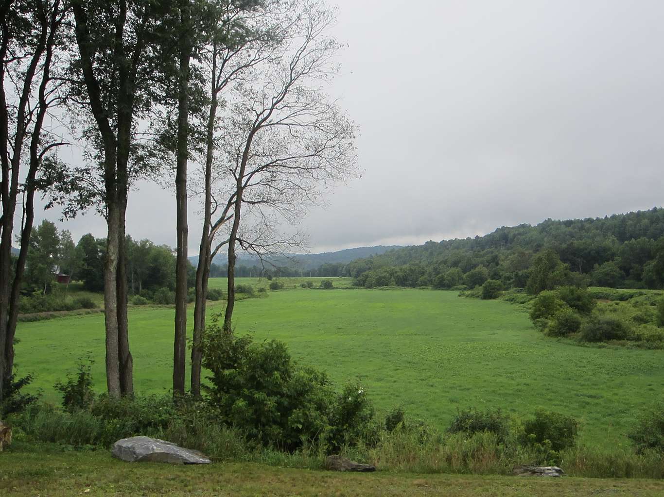 A view of open fields, framed by trees