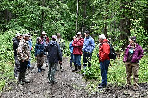 Stewardship for the Birds: A Guided Habitat Walk