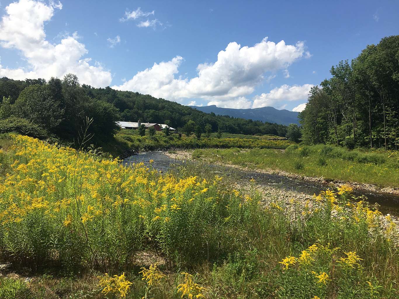 Small river cutting through an open meadow