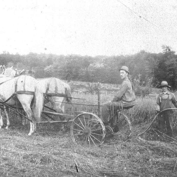 Changing mores shaped Stowe's farming history