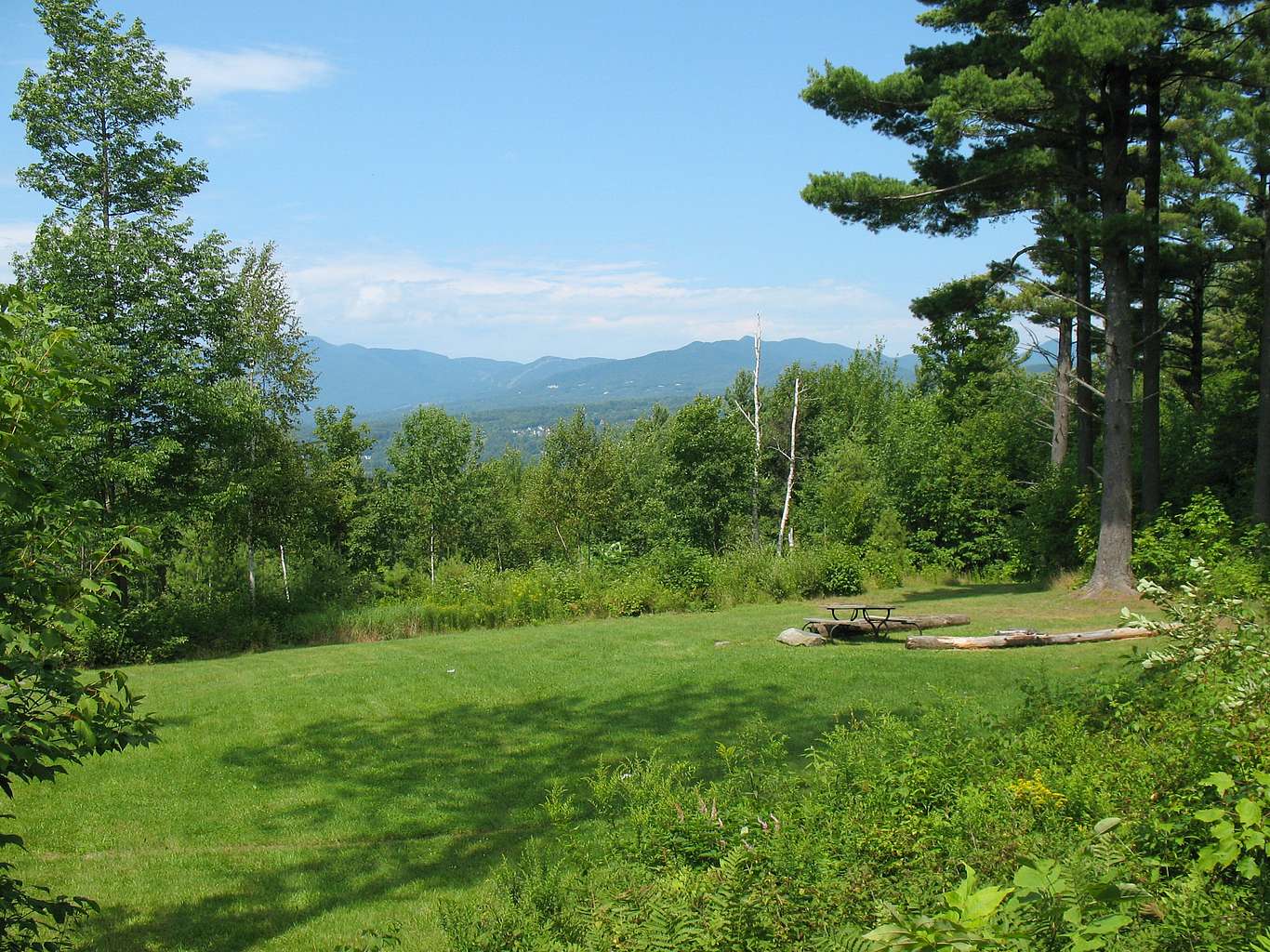 A meadow view with a view of mountain peaks in the distance