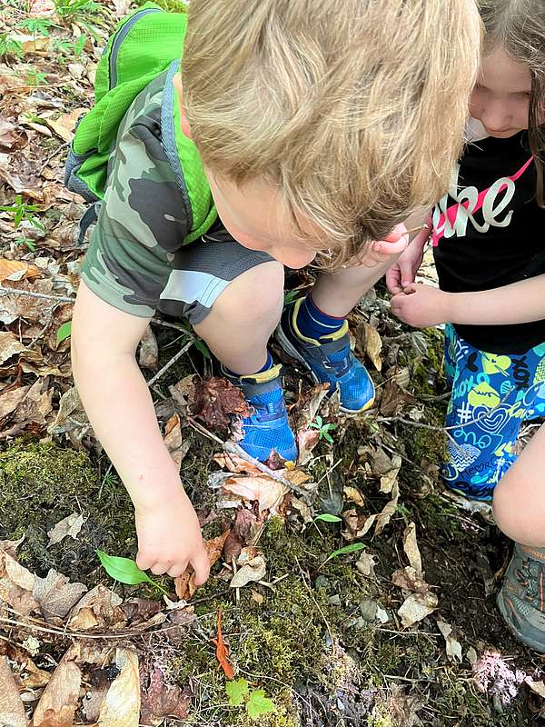Two kindergarteners bend down, point, and inspect an eft spotted on a patch of moss.
