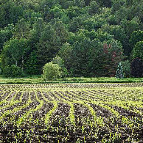 Another Decade of Farm Tax Breaks up for Vote