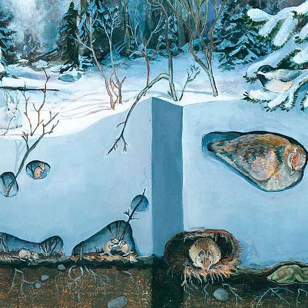Naturalist Corner: A Mouse’s Winter Journey