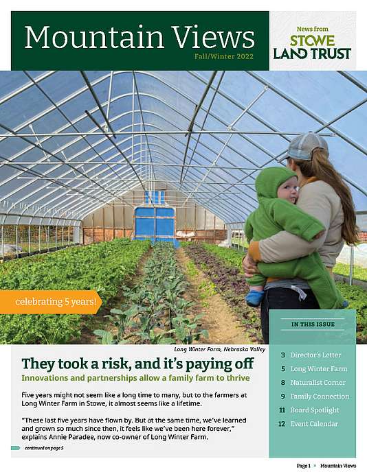 Mountain Views Newsletter cover page