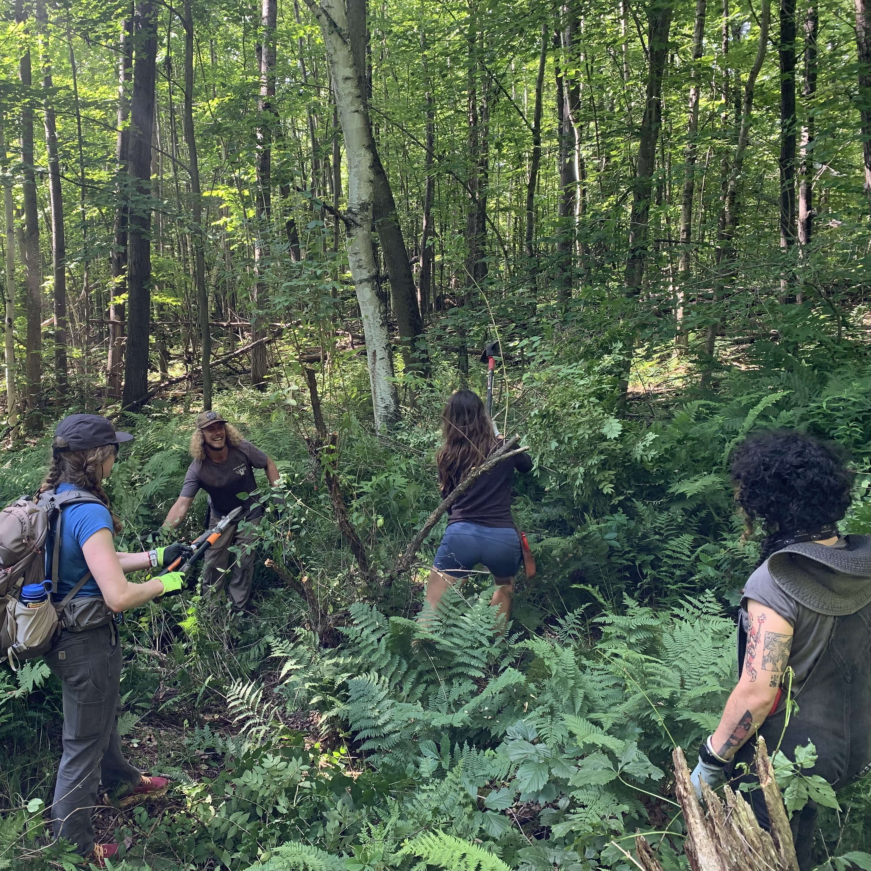 Hands-On with Invasives: A Field Workshop at DuMont Meadow