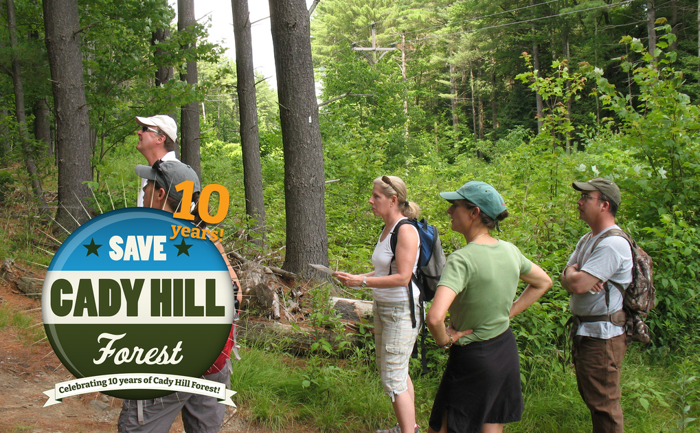 Conservation walk in Cady Hill Forest Stowe Land Trust
