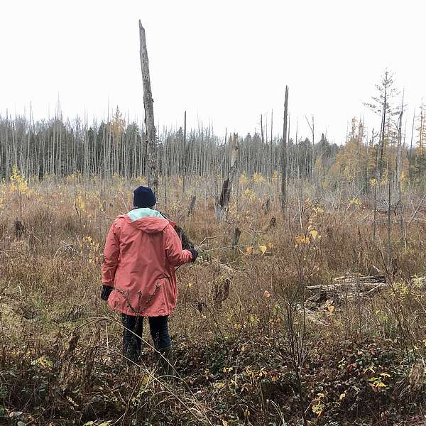 Ricketson Farm: A fight to preserve pastoral Stowe