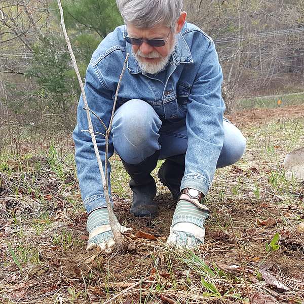 Little River Gets 1000 New Trees