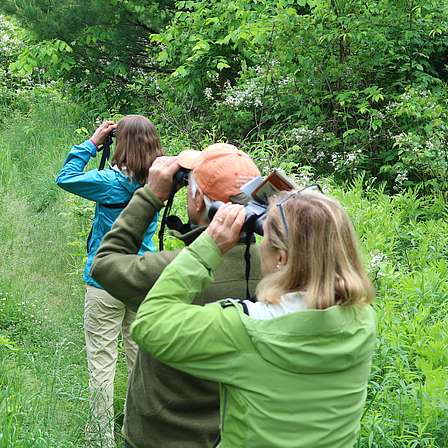 Link to properties open for wildlife viewing