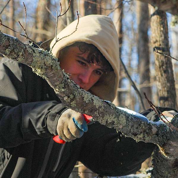 A student uses a handsaw to trim a branch in the trail corridor.