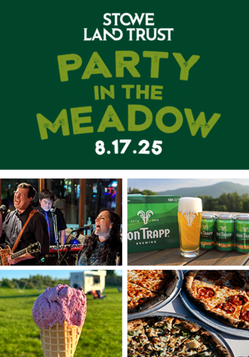 Party in the Meadow