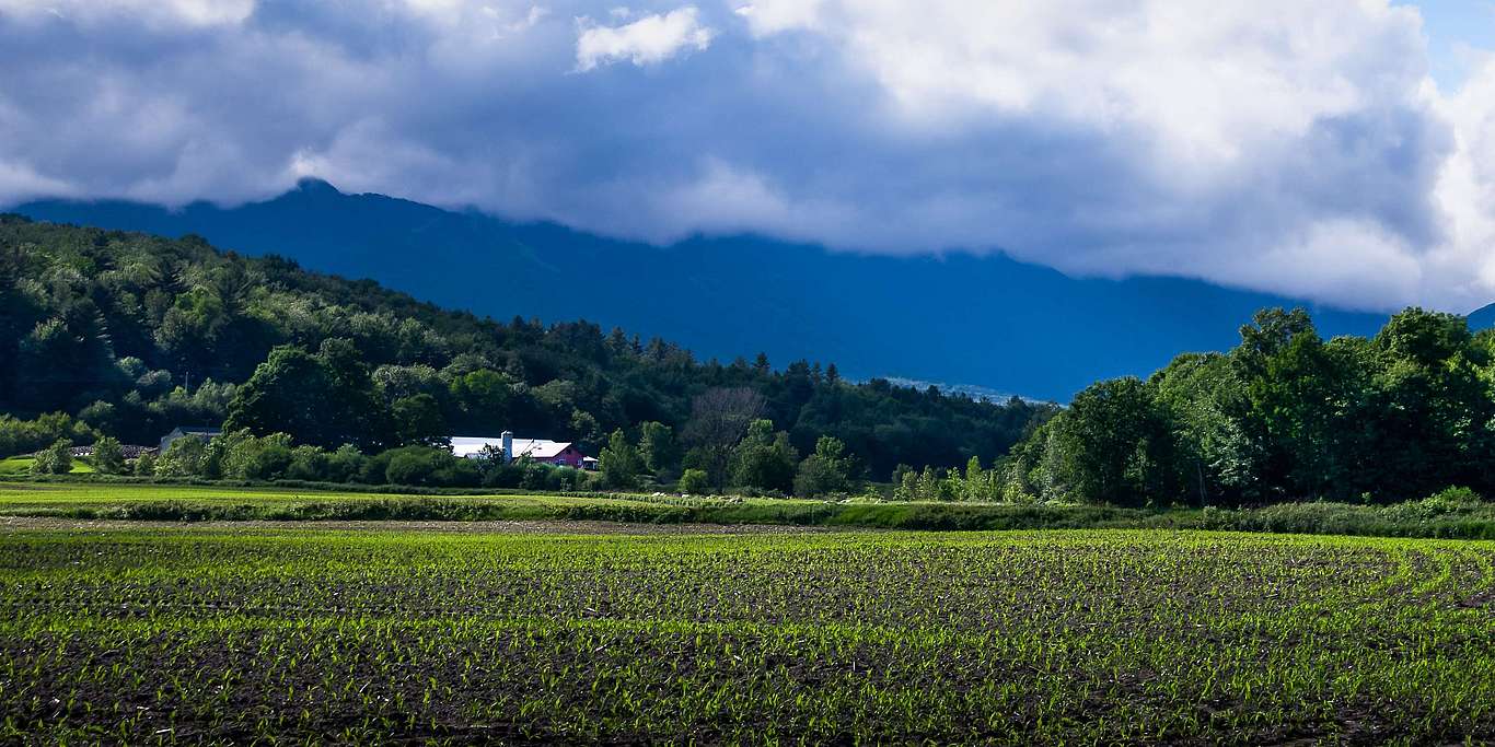 Conserving Rural and Natural Landscapes in and around Stowe, Vermont Stowe Land Trust