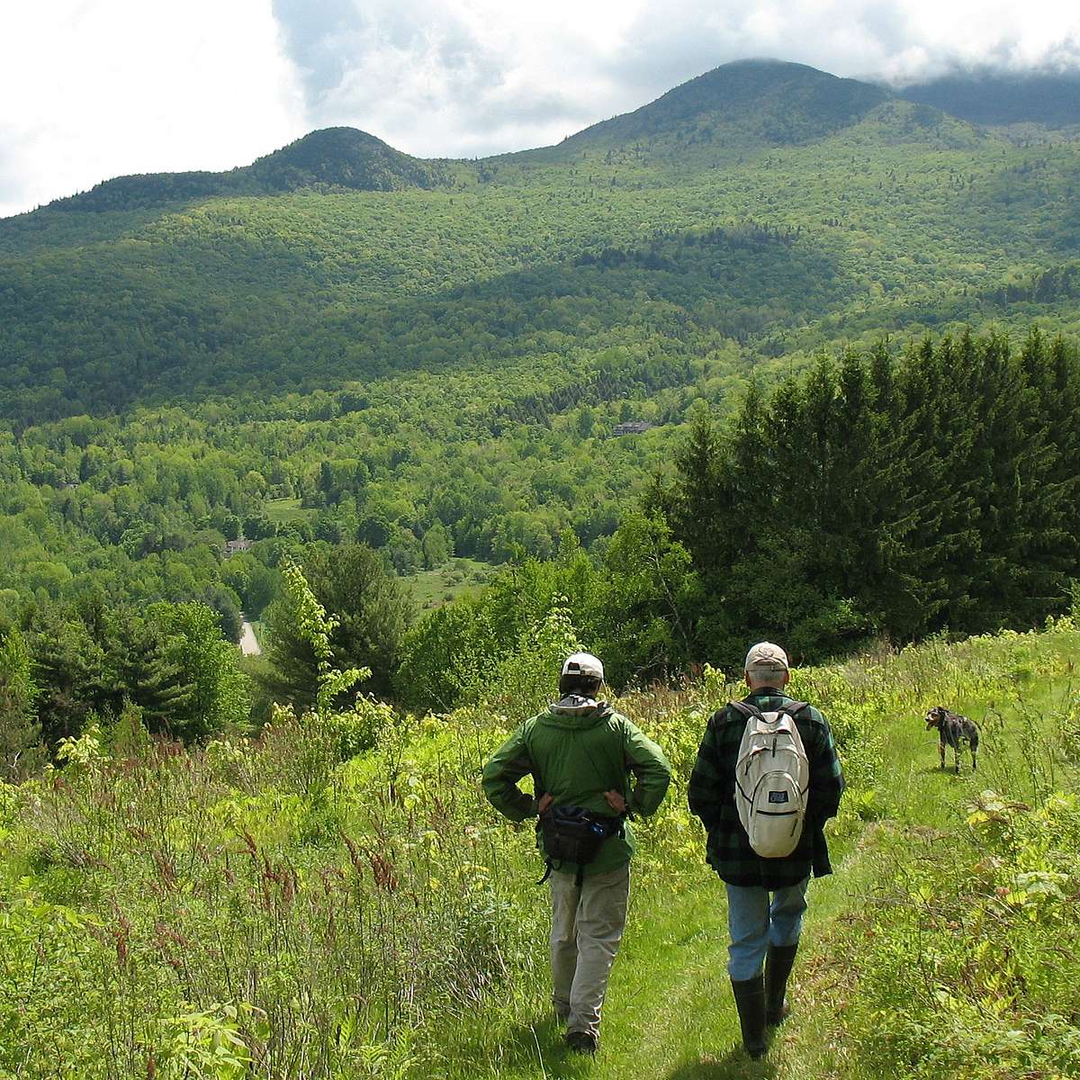 topnotch stowe