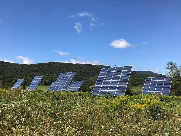 An array of solar panels in a meadow with wildflowers.