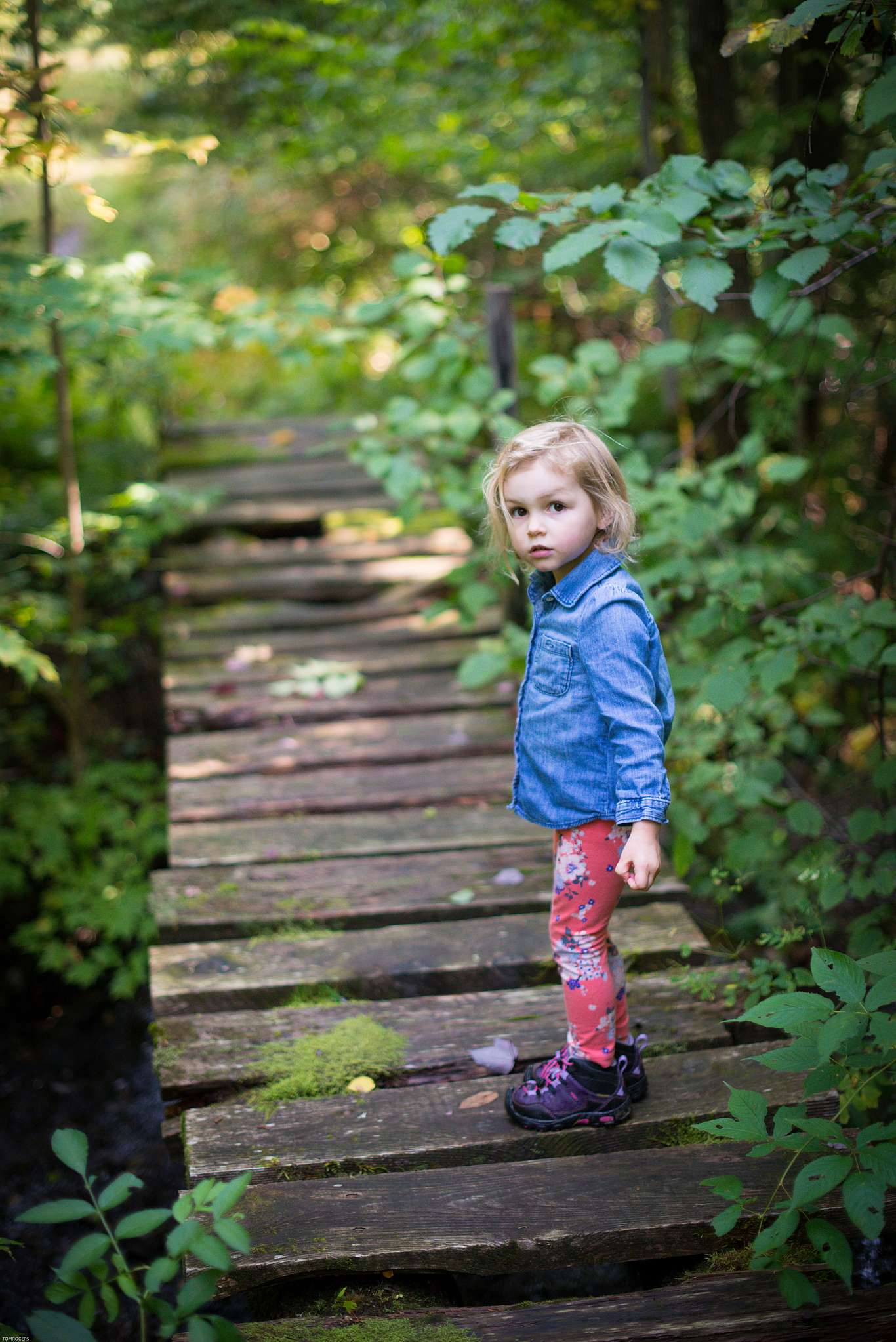 A young girl on a wooden bridge