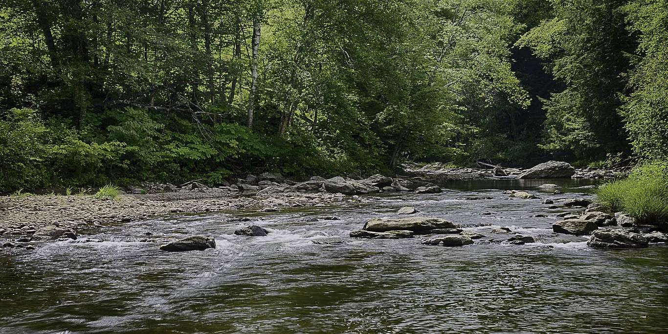 Photo by John Sharpless