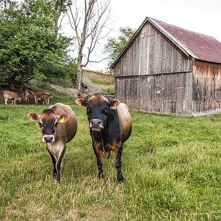 Link to working farms properties
