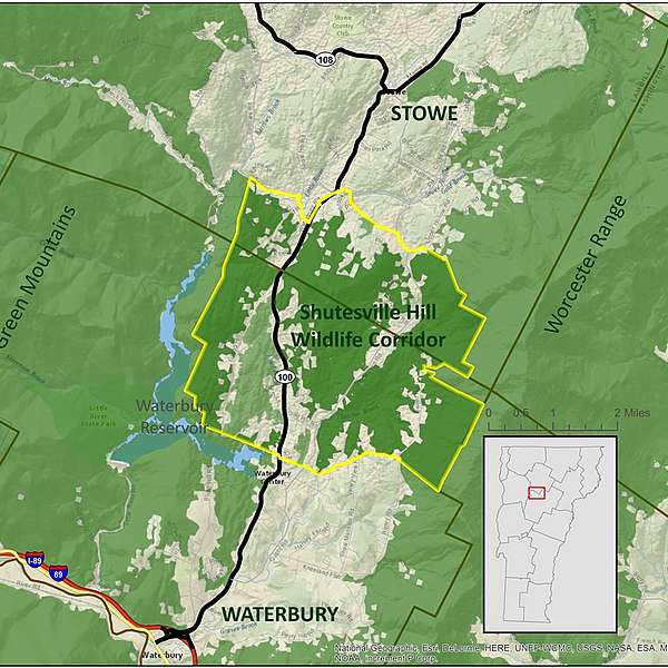 News: Putting the Shutesville Hill Wildlife Corridor on the Map