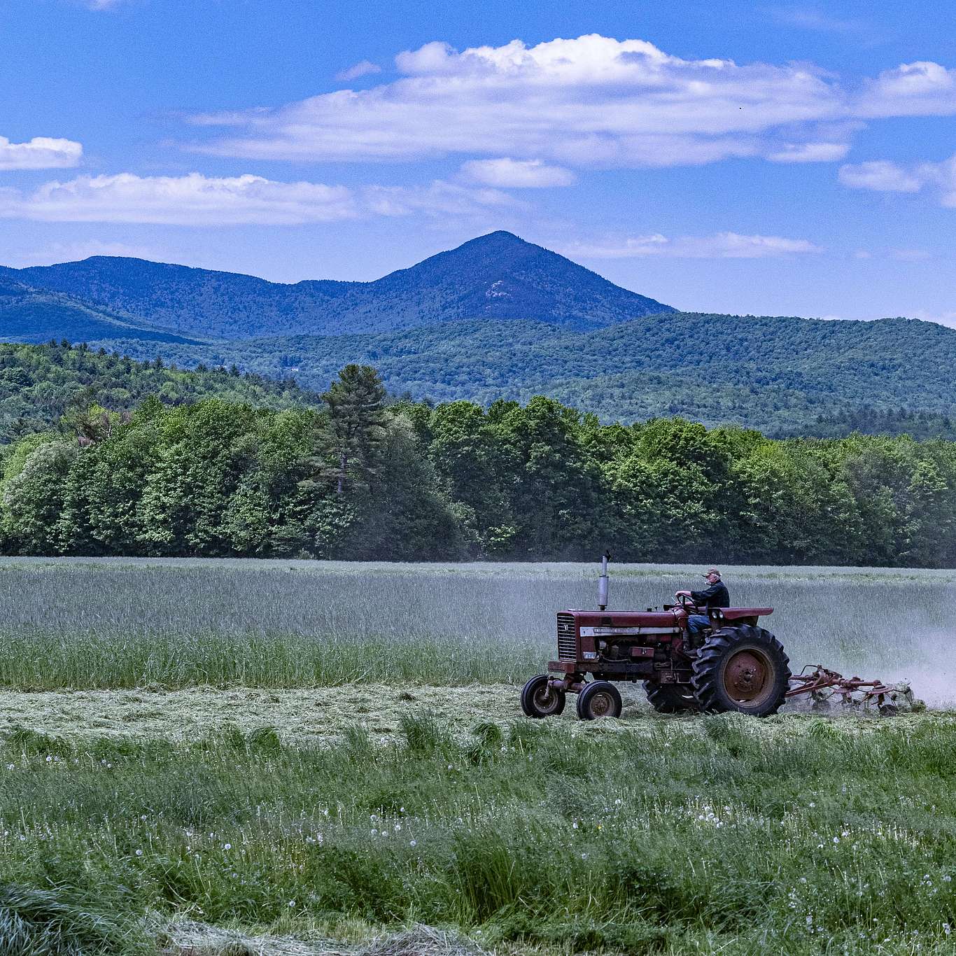 Conserving Rural and Natural Landscapes in and around Stowe, Vermont Stowe Land Trust