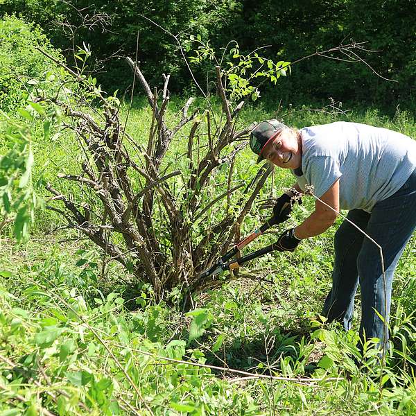 DuMont Meadow Restoration Underway