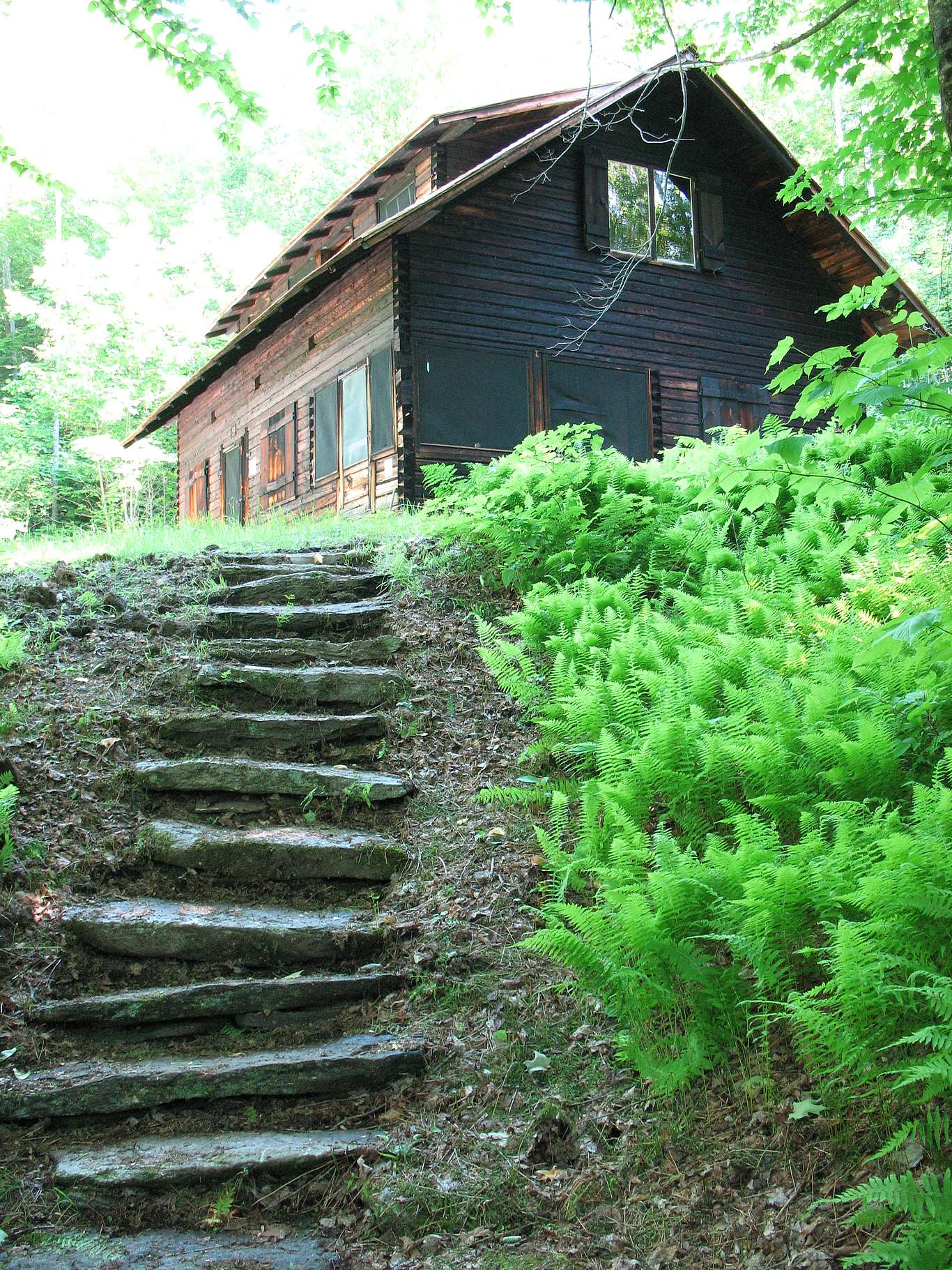 Steps leading to a historic cabin