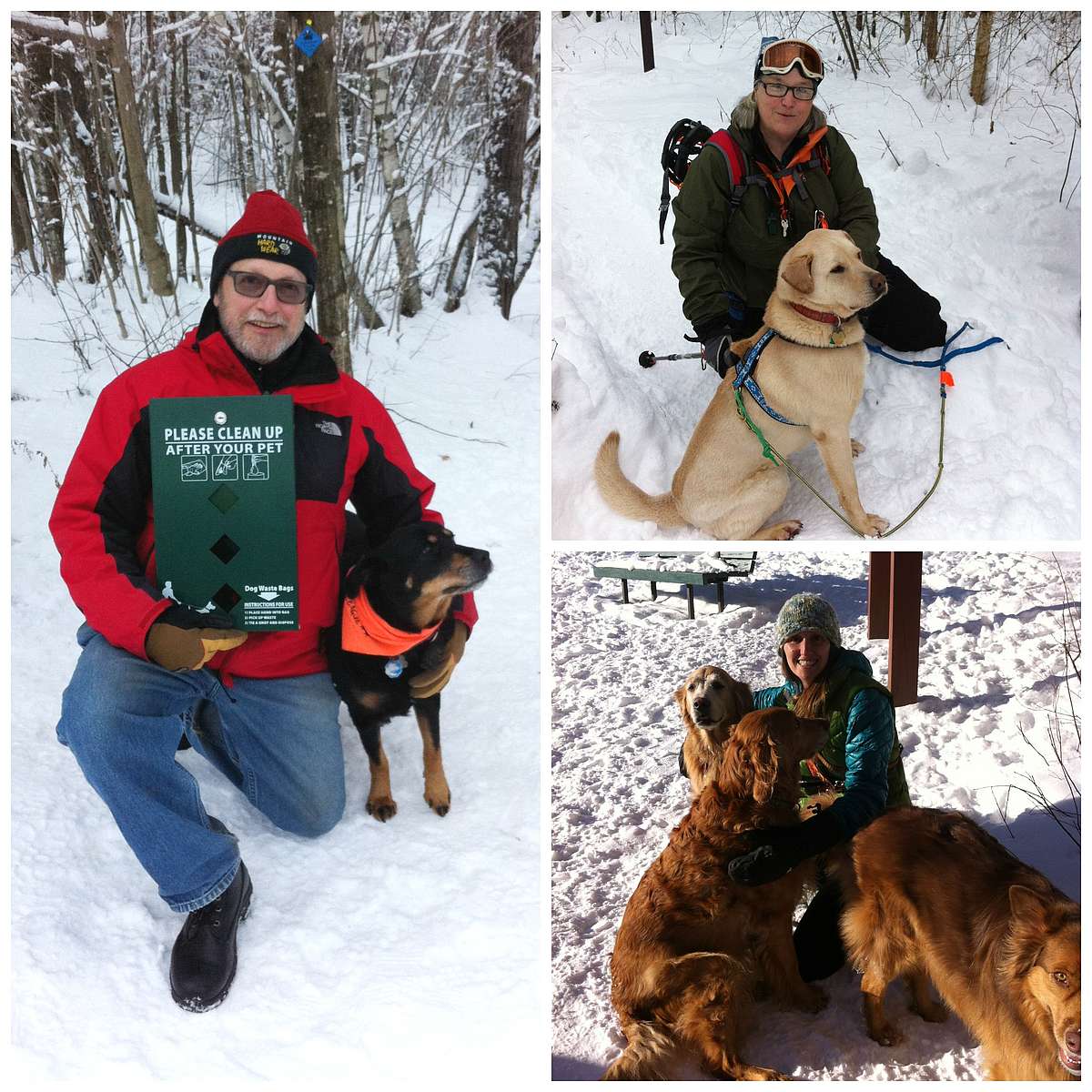 Do You Have To Pick Up Dog Poop In The Woods