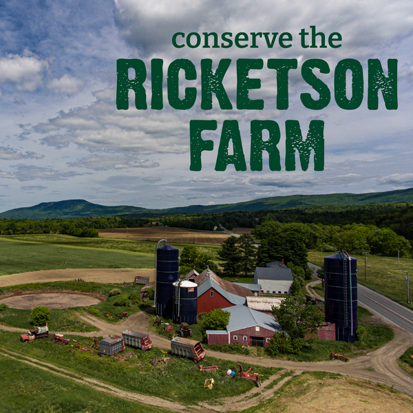 Ricketson Campaign Update