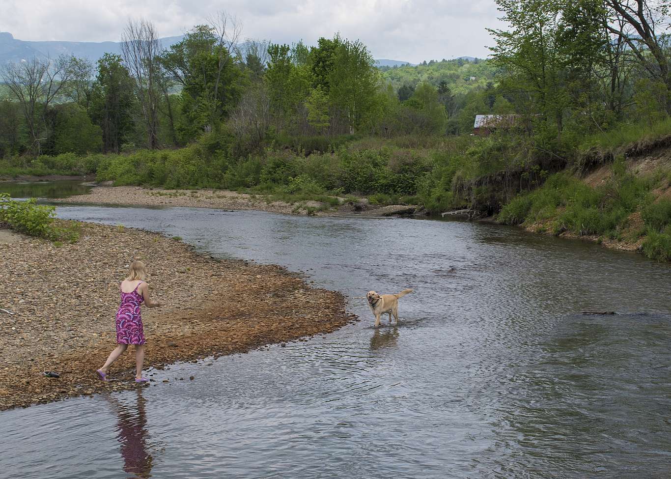 A woman and dog near the bank of a river