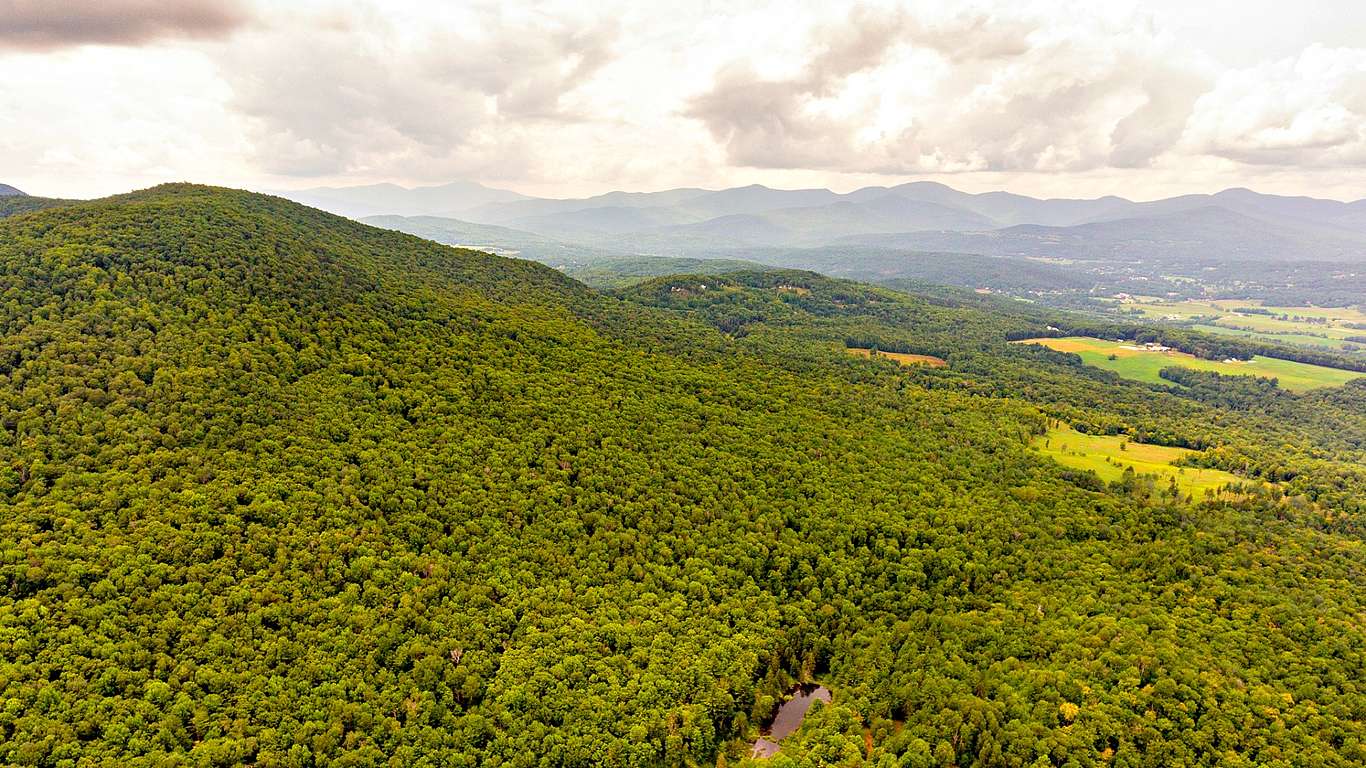 A photo of a lush forested hillside from the air with mountains and farm fields in the background.
