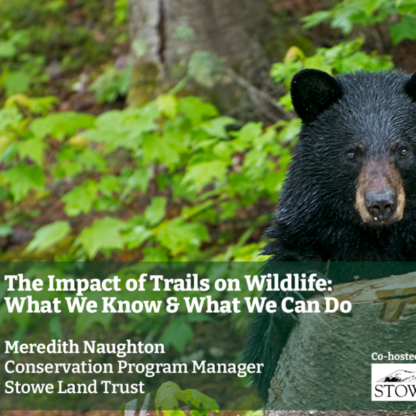 The Impact of Trails on Wildlife