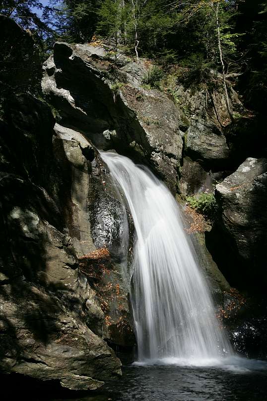 Photo by Alden Pellett