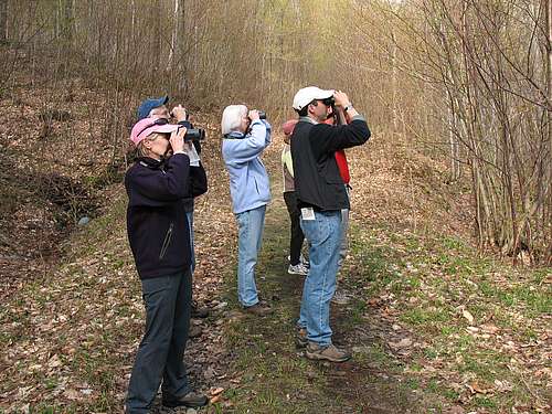 Spring Bird Walk
