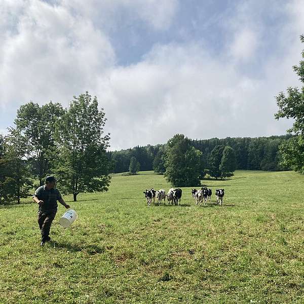 A Year in Lamoille County Farming: Consolidation, Preservation, Prevention