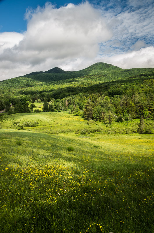 Photo by John Sharpless An open meadow with mountain peaks beyond