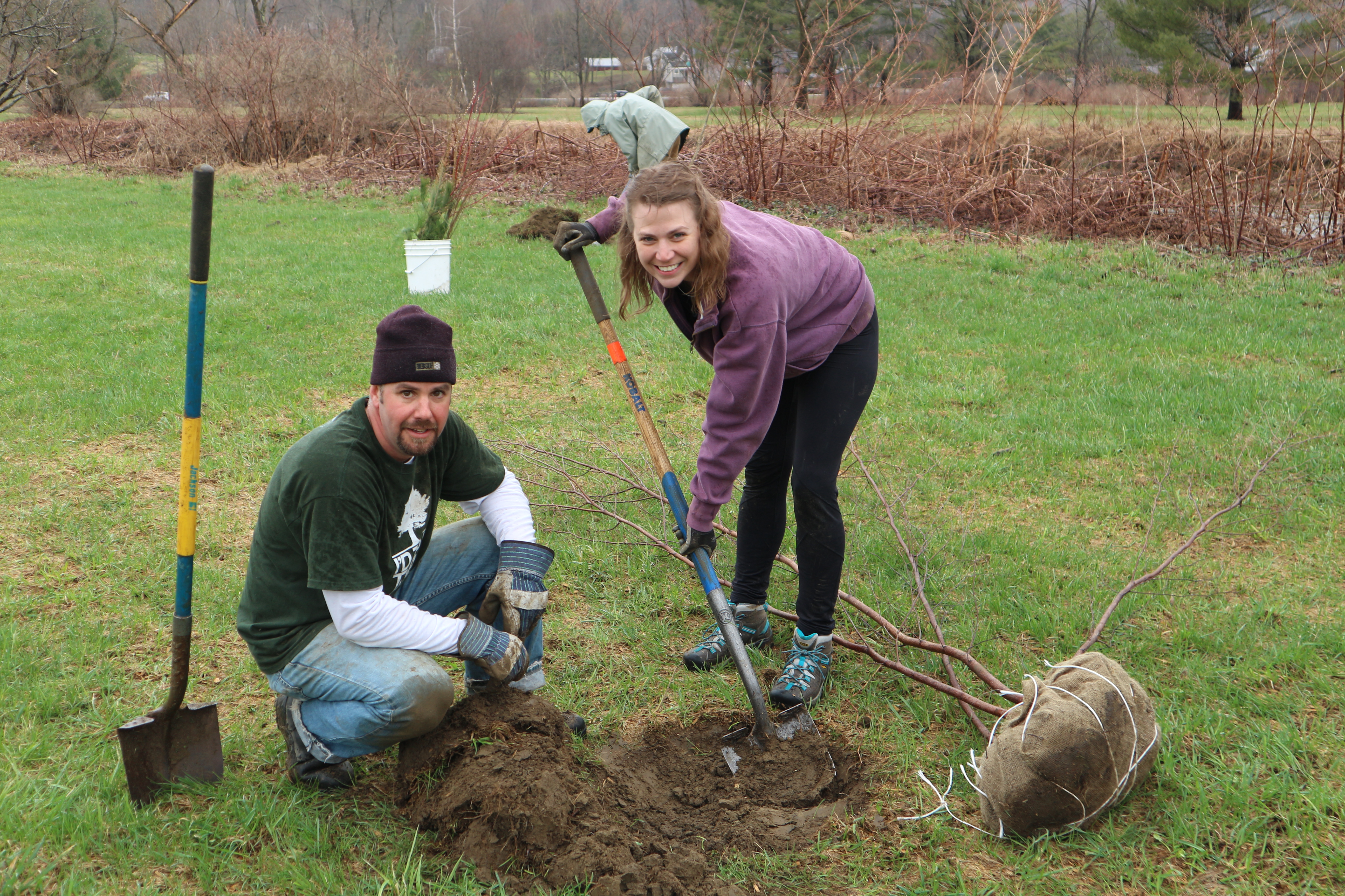 Volunteer Workday Planting Trees in a Riparian Zone!